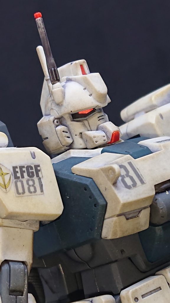 いかつい顔立ちがカッコいいですね。マーキングシールも付属の物を使いました。