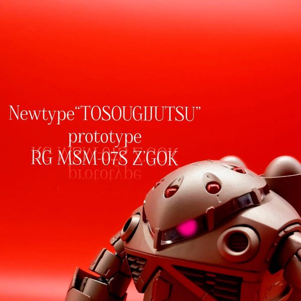 Newtype”TOSOUGIJUTSU”prototype  RG MSM-07S Z’GOK