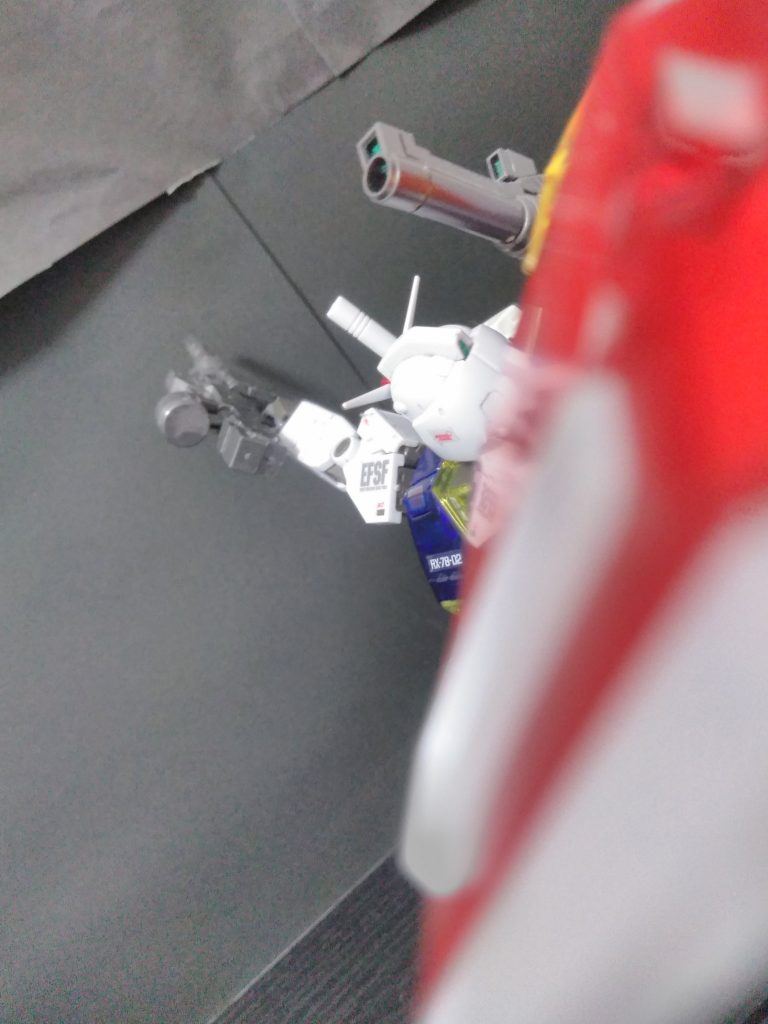 ゼフィランサスみたい「どこが?」