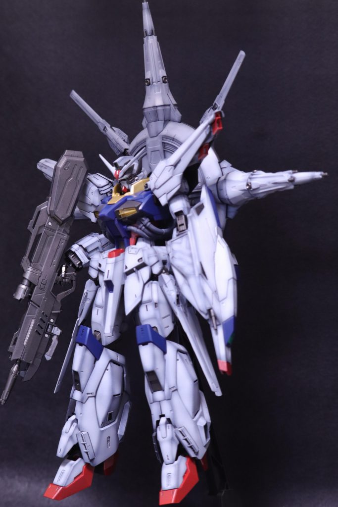 全体写真です('ω')肩と脚部のスジボリをしっかりいれました！