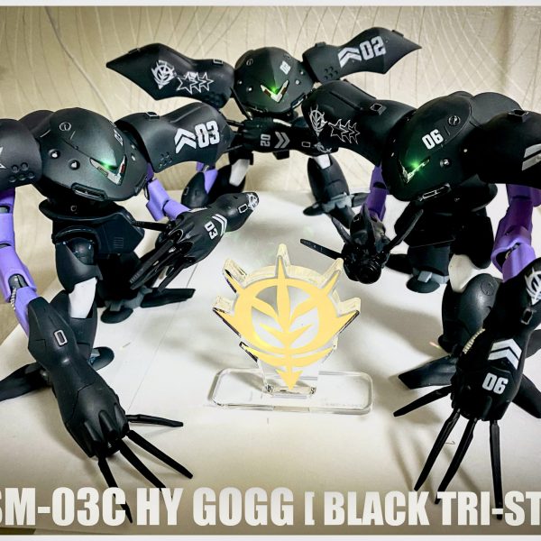 HG ハイゴッグ 黒い三連星