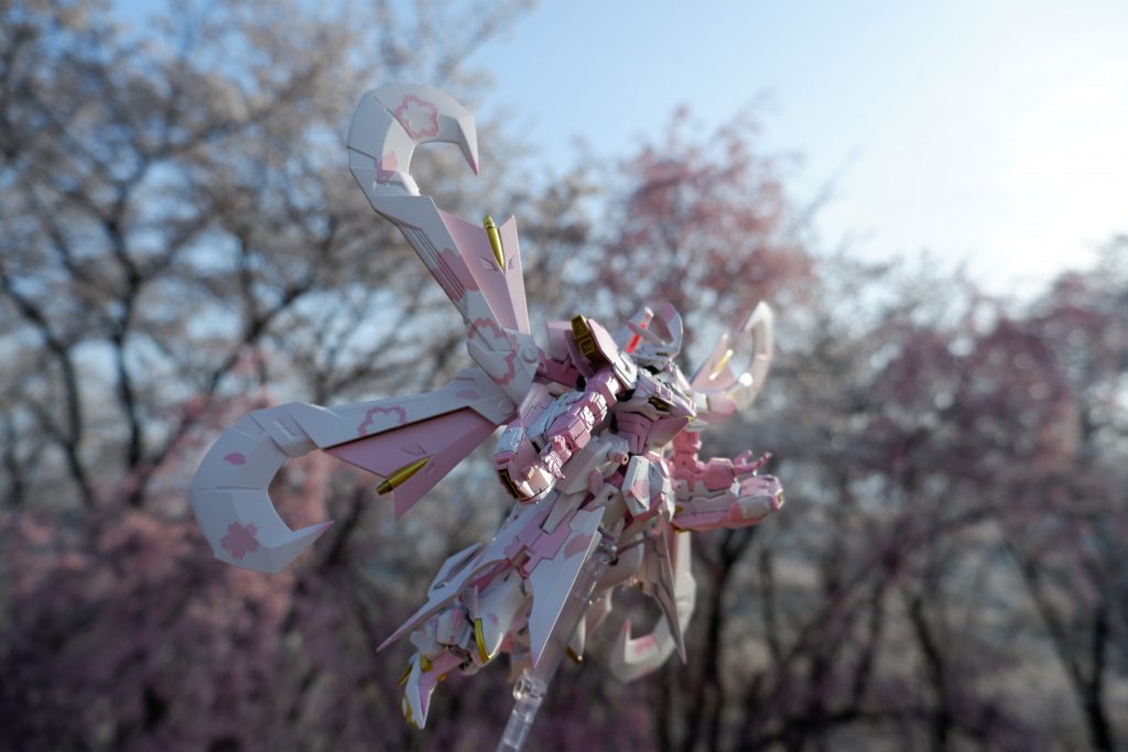 桜をモチーフとした作品であり、天候と厳しい情勢でありますが外に出かける機会がありましたため一足先に桜とツーショットをとりましたこちらにあるのはツイッターにもあげていない一枚になります ここまでご覧いただきありがとうございました