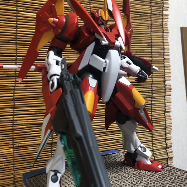 アドヴァンスドジンクス　”GN-X sim”