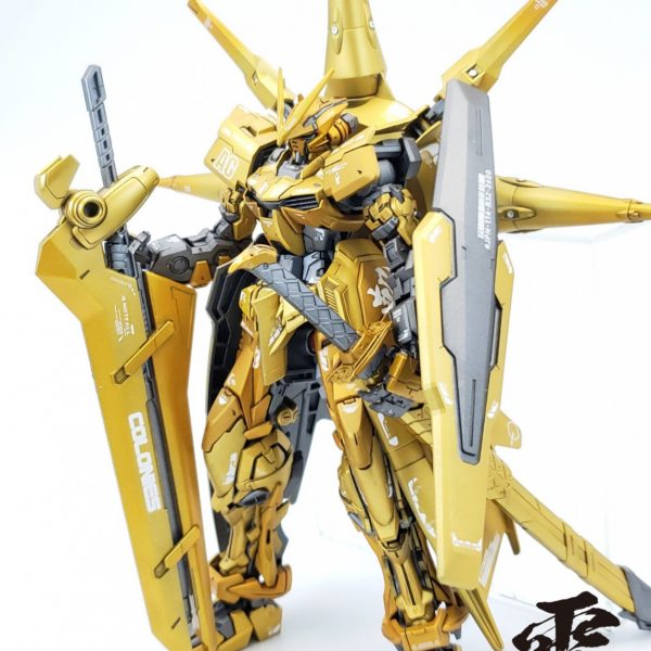 Gアストレイ type 雷神⚡