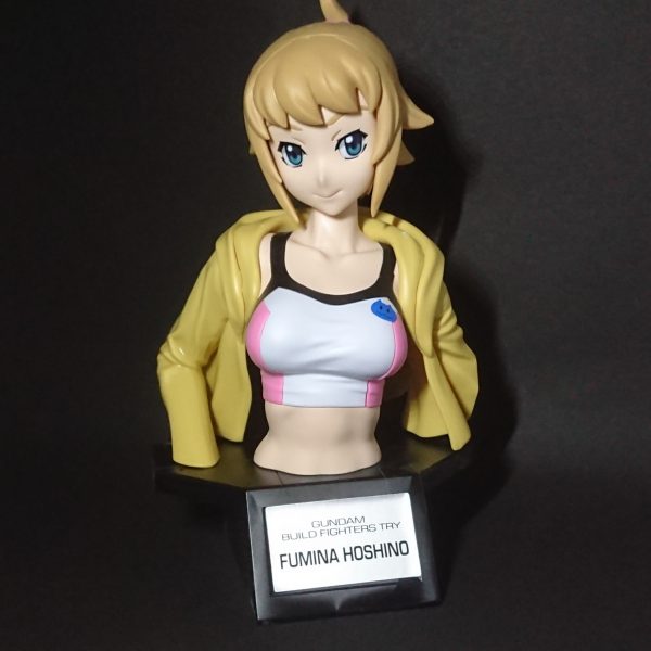 ホシノフミナ(Figure-riseBust)