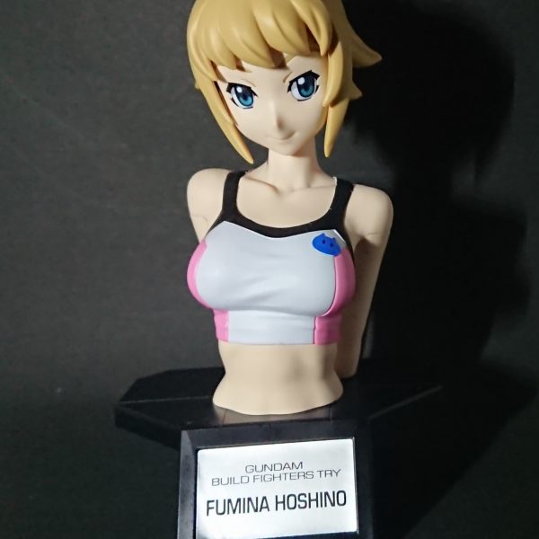 ホシノフミナ その2(Figure-riseBust)