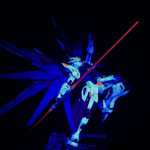 飛翔・フリーダム！