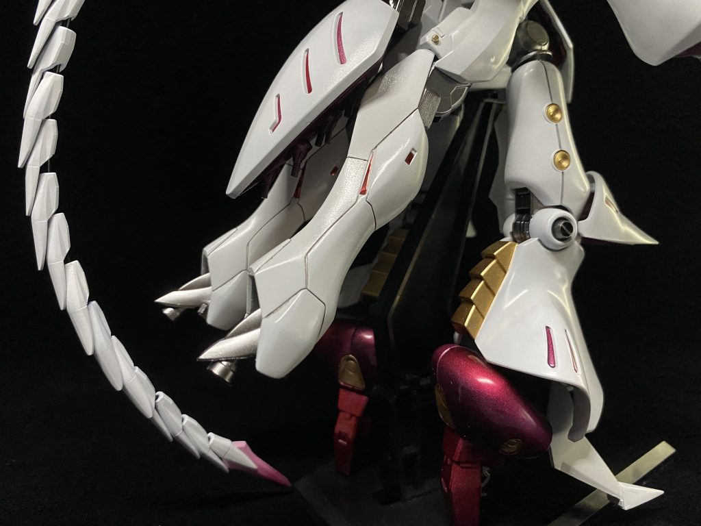 脚とギラテイル写真です。