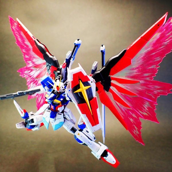 RG デスティニーインパルスガンダム