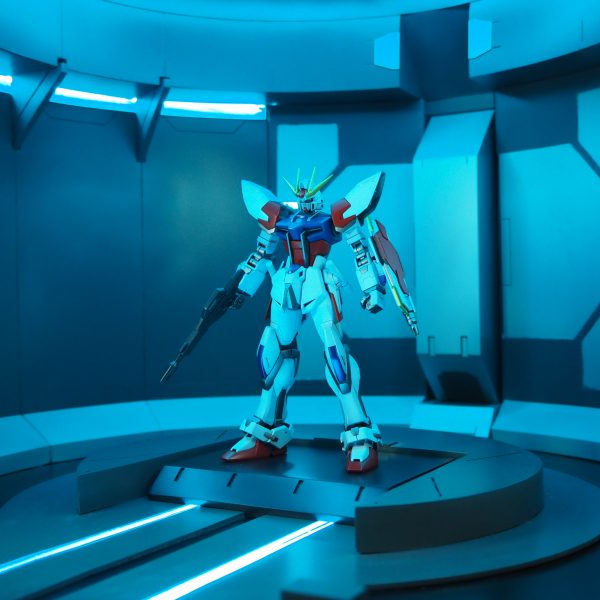 XVX-016MLF/MR モルガン・ルーフェ