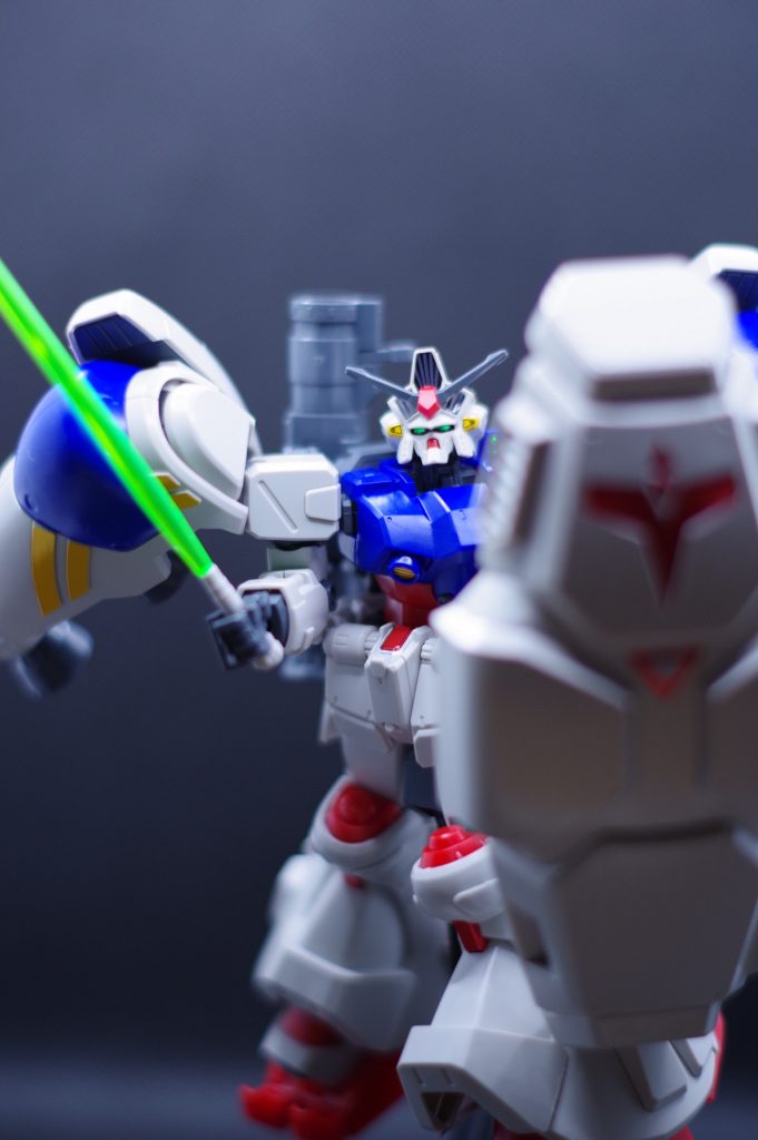 初めて作ったサイサリス–2枚目/制作者：時雨煮