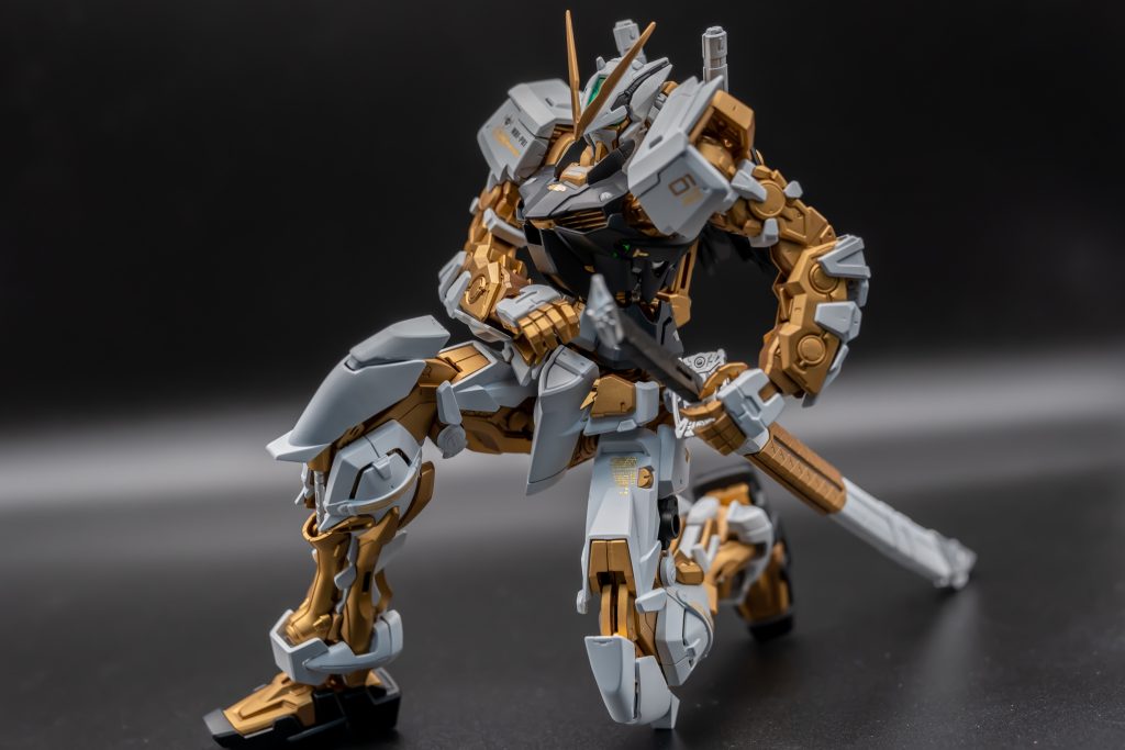 このポーズが撮れるってのは異常なことだと思います。