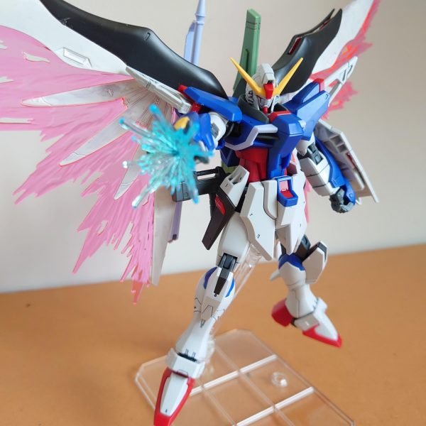 ディスティニーホワイトウイング