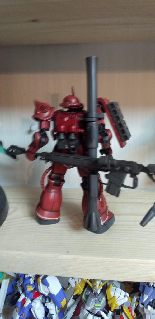 ピンぼけしてますが後ろ姿です。