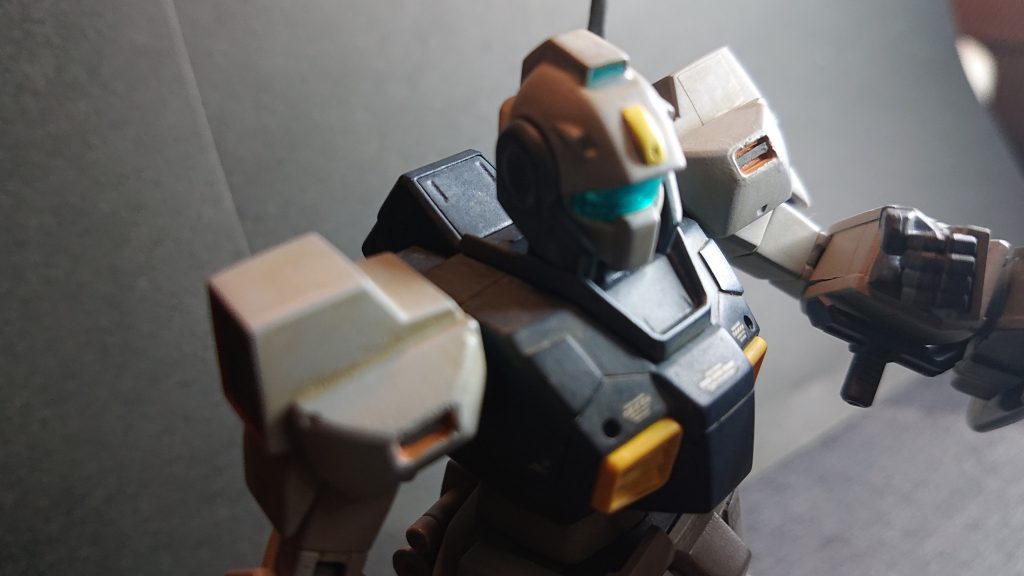 ピントが微妙ですがバストアップ画像です。