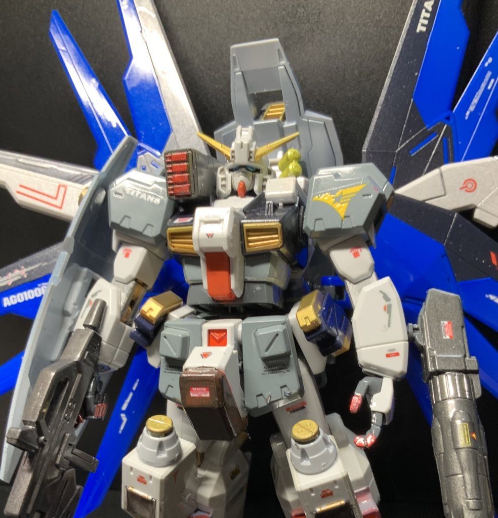 ヘイルズに羽着けてみました　殆どストフリって声も(-.-;)y-~~~