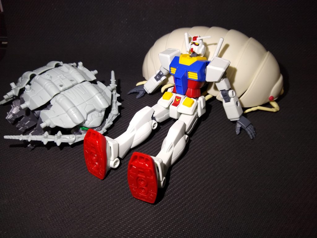 家にあったアルビノだんごむしとグソックと一休み。背中に乗せても楽しそうです。かわいいですね。