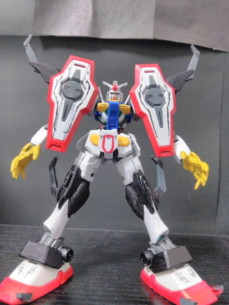 正面ゲテモノ感