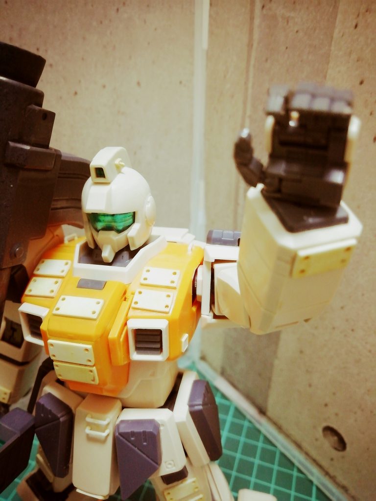 ご覧頂きまして有り難うございました‼️(^ω^)