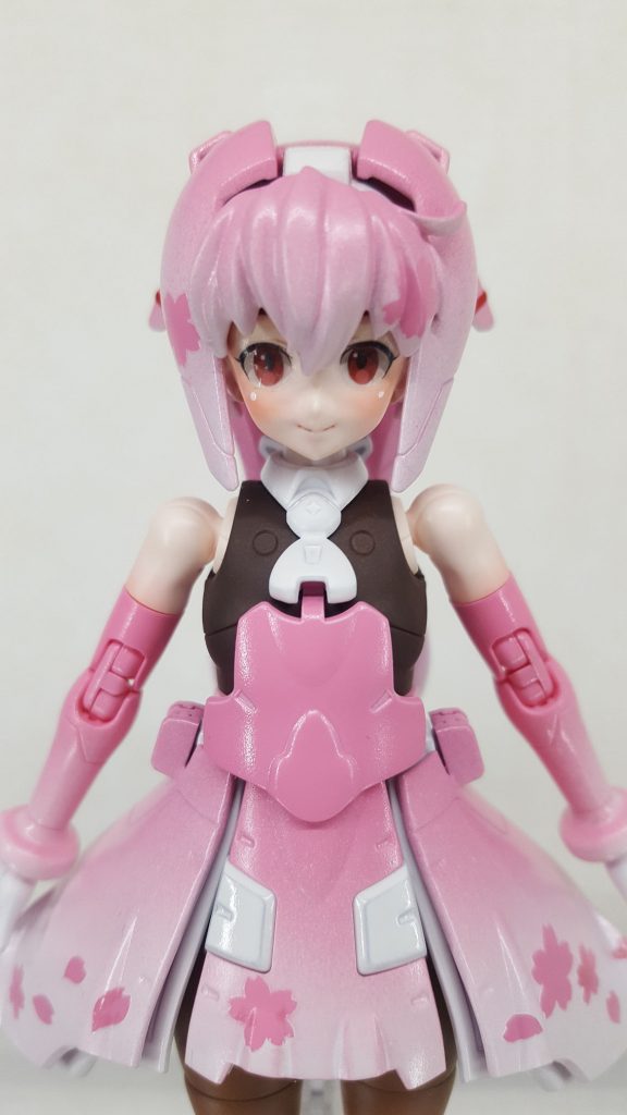 瞳の色を変えたかったのですが、アイペイントなど技術がないのでハイキューパーツのアイデカール12-Bを使用しました。サラはたれ目なので印象が変わりました。モールド埋めてデカール貼るのは初めてでしたが、難しい(-ω-;)段差ができたり、凸凹になったり・・・あと、お化粧が下手です。特に頬のハイライトはいつも失敗します。もっと可愛くしてあげたかった。