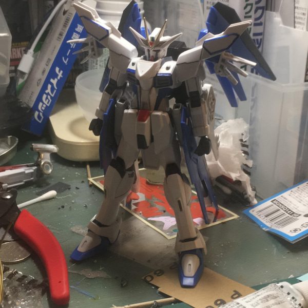 フリーダムバイフー