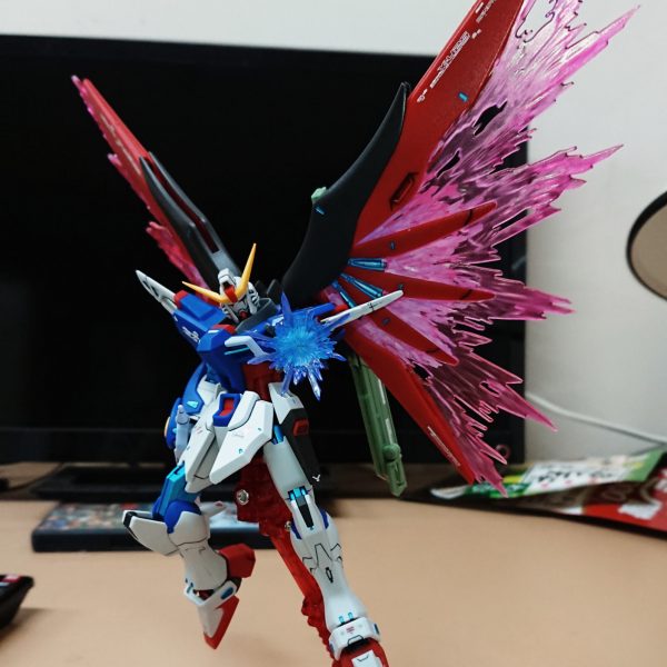 HGディスティニーガンダム