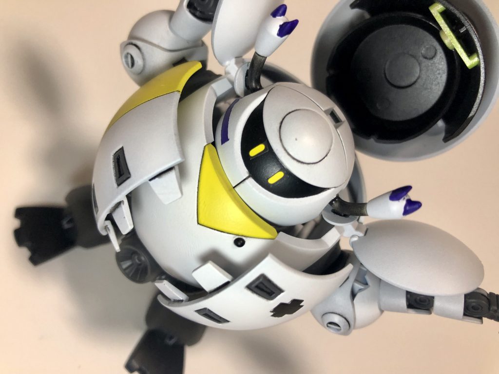 うー、うー、パカっ！アジの開き！