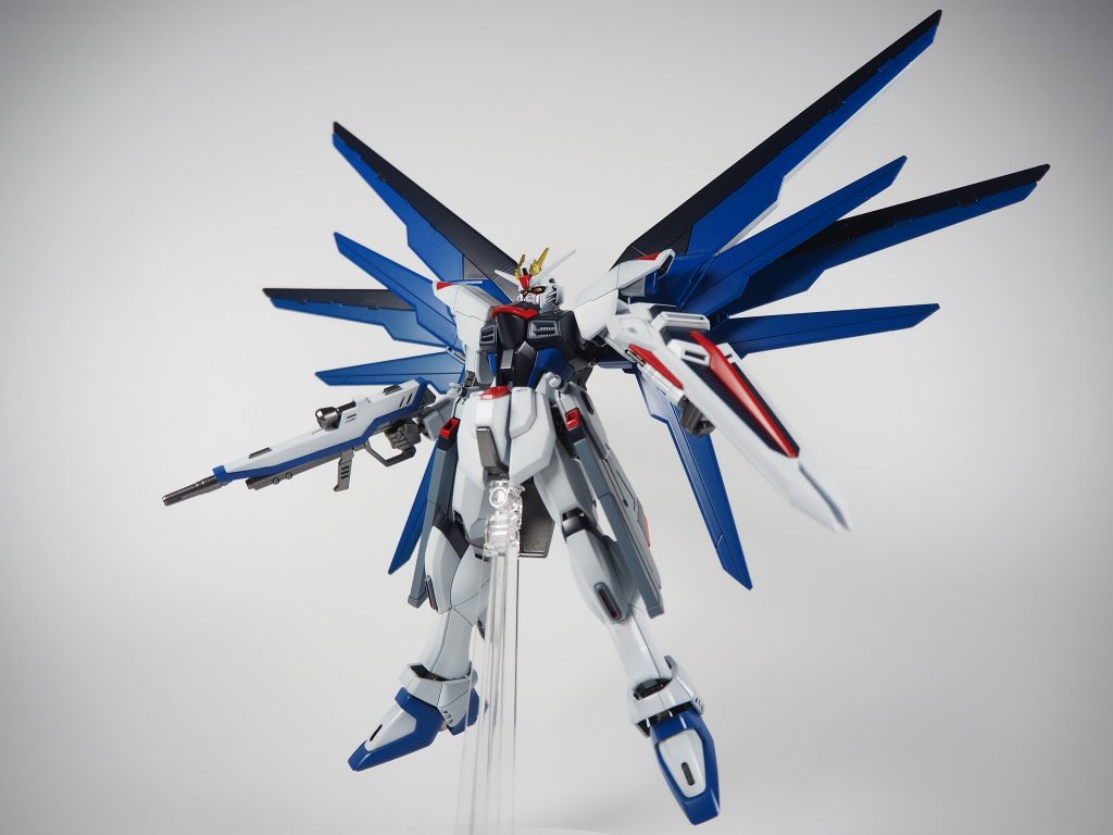 ハイマット形態