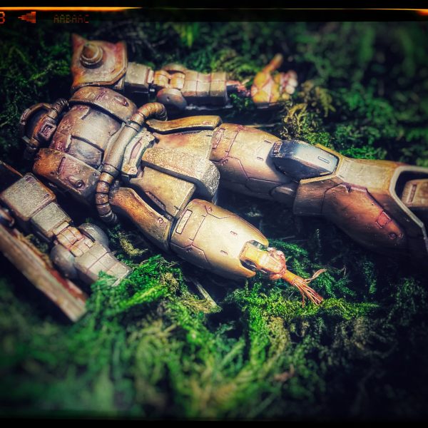 ザク、大地に眠る