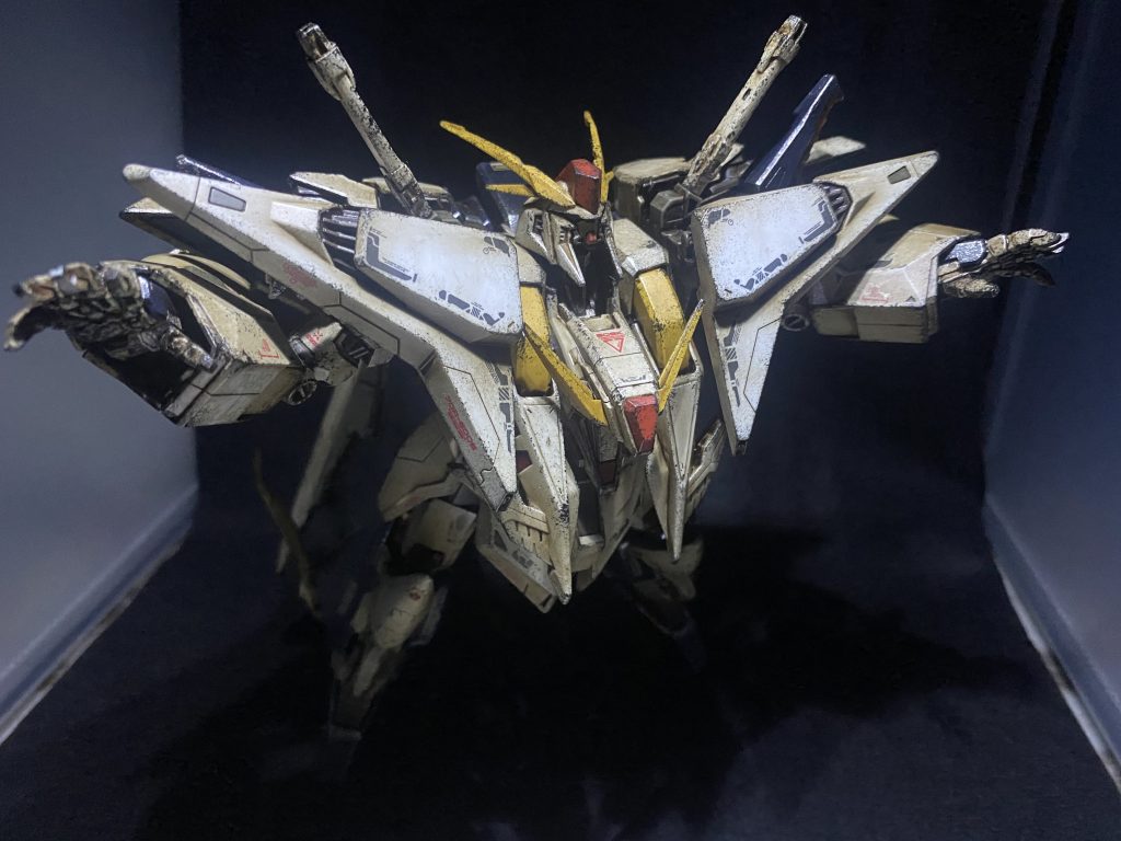 パッケージと一緒のポージング