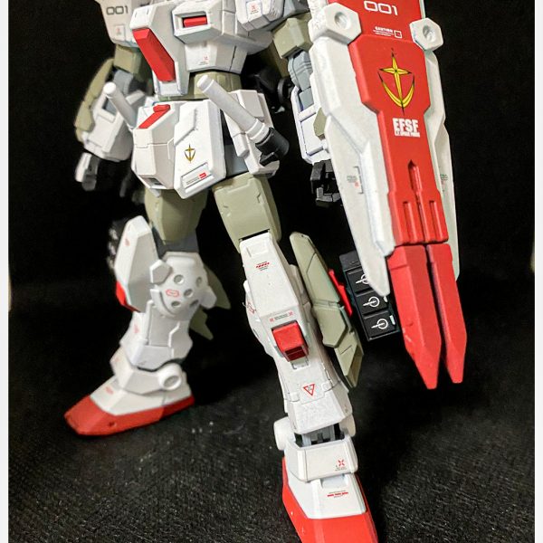 ペイルライダー ロールアウトカラー