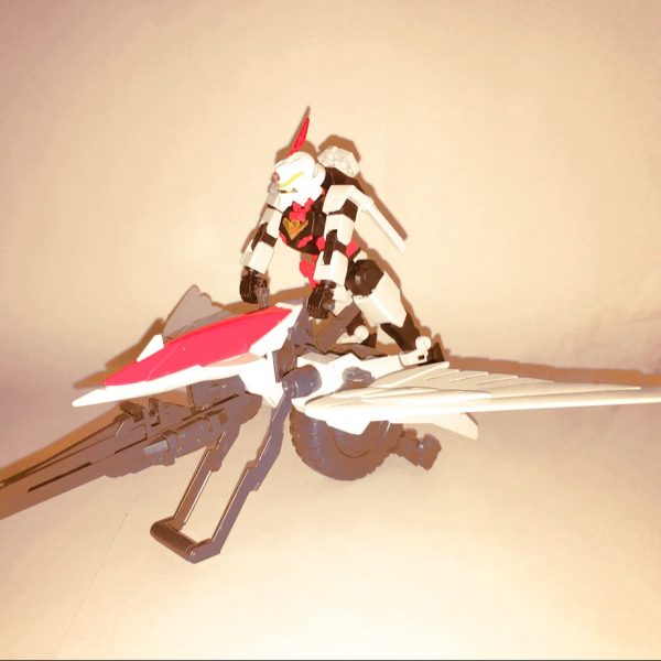 わし座の戦士「ネェルガンダム・アクイラ」