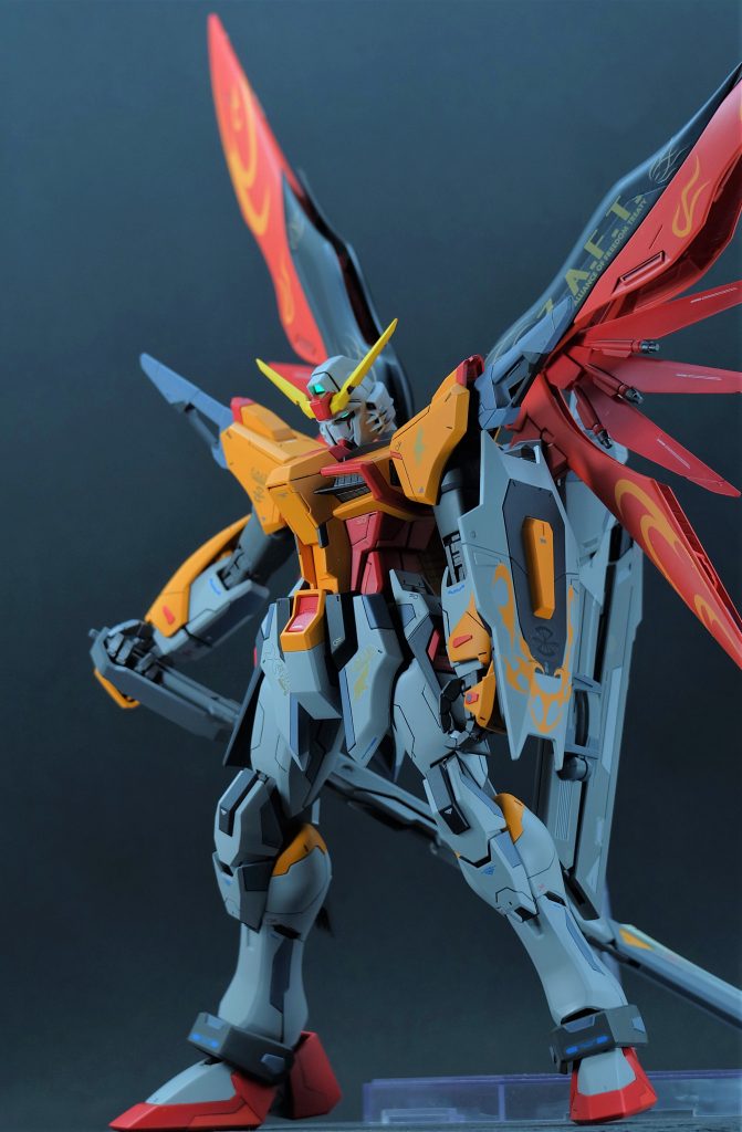 MG デスティニーガンダム ハイネ機–7枚目/制作者:Tomato.nit