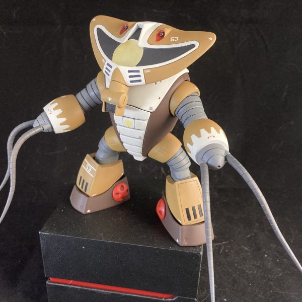 アッグガイ完成