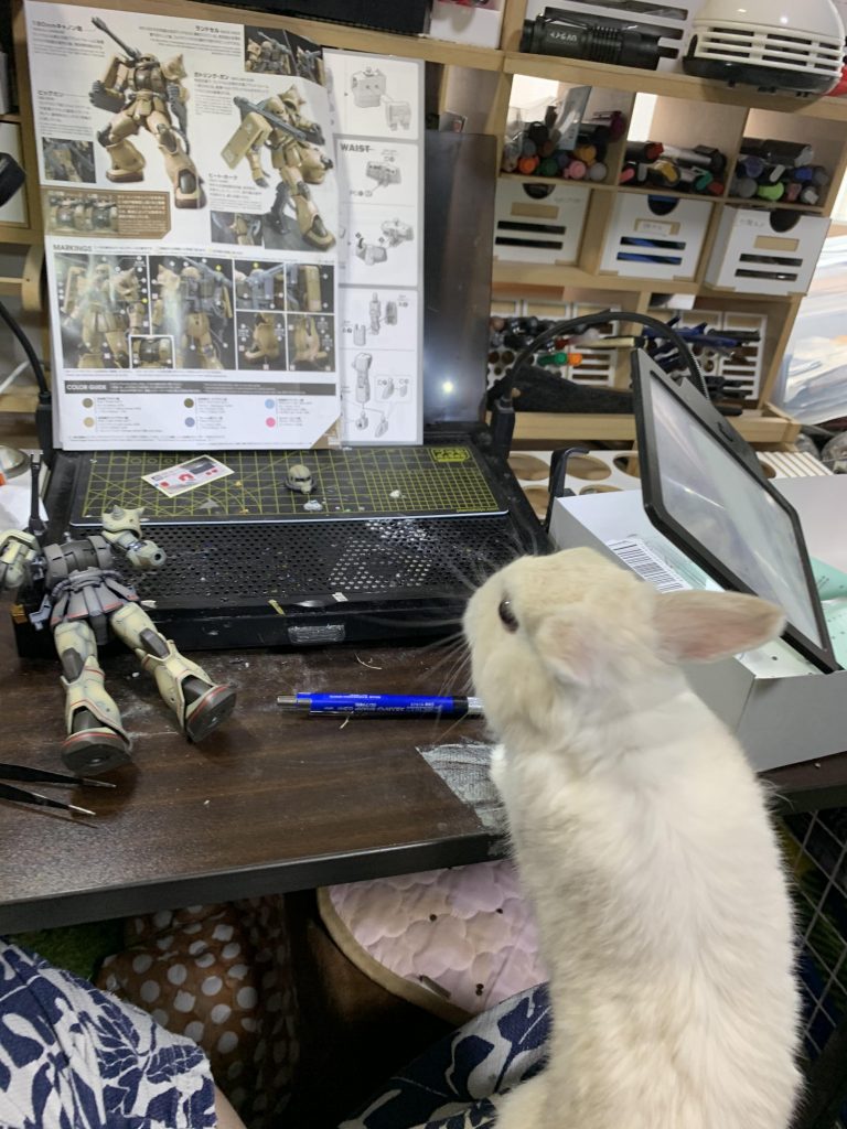 お邪魔虫が覗きに来ました