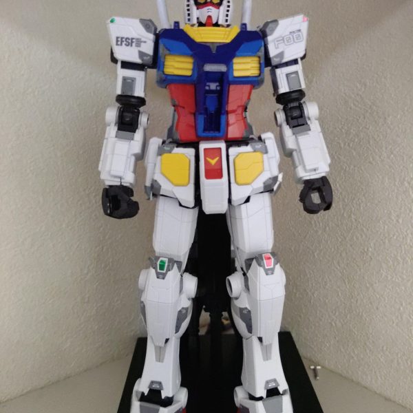 1/100 RX-78 F-00
