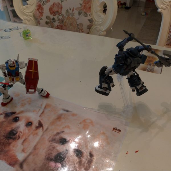 ガンダム vs ザクⅡ