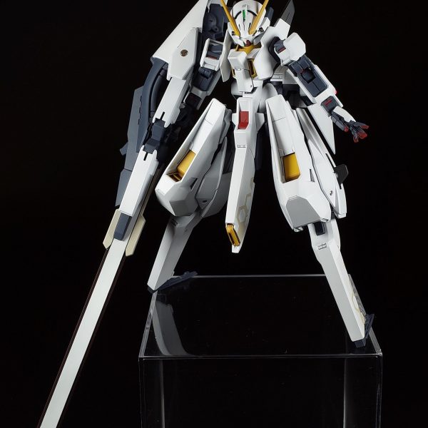 TR-6　ウーンドウォート