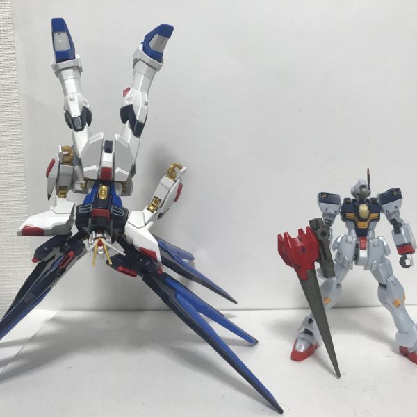 息抜きガンプラストライクフリーダムと並べて…いや小さいな！余談ですが、ペネロペくんとラフレシアはサイズ感ほぼ変わらないらしい　です…   これはラフレシアHG化いけるかも！いや　買わないけど！ご観覧頂きありがとうございました♪（2枚目）