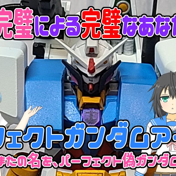 完璧の完璧による完璧なあなたの為の『パーフェクトガンダムアーマー』またの名を『パーフェクト偽ガンダム』