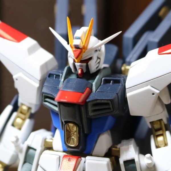 HGCE ストライクフリーダム　完成