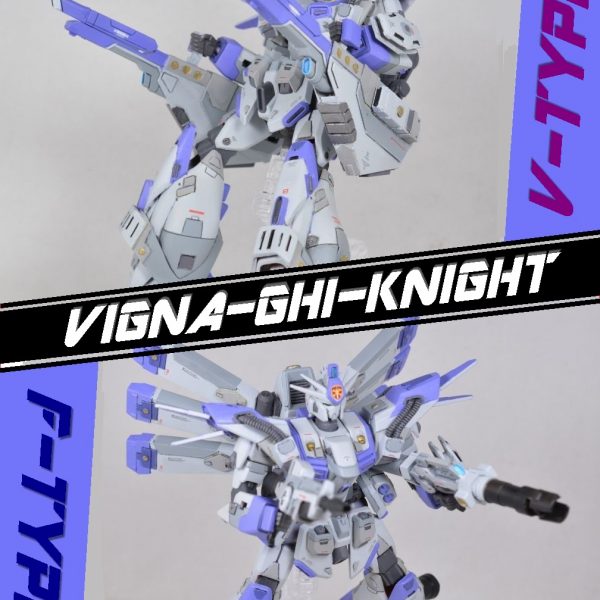 ビギナ・ギ・ナイト　F-TYPE／V-TYPE