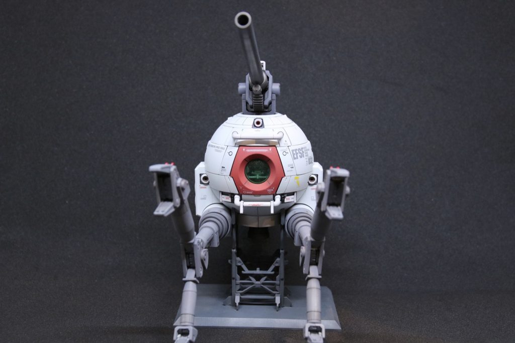 黒バックで正面から。ボールってこんなにかっこよくてかわいかったんですね。