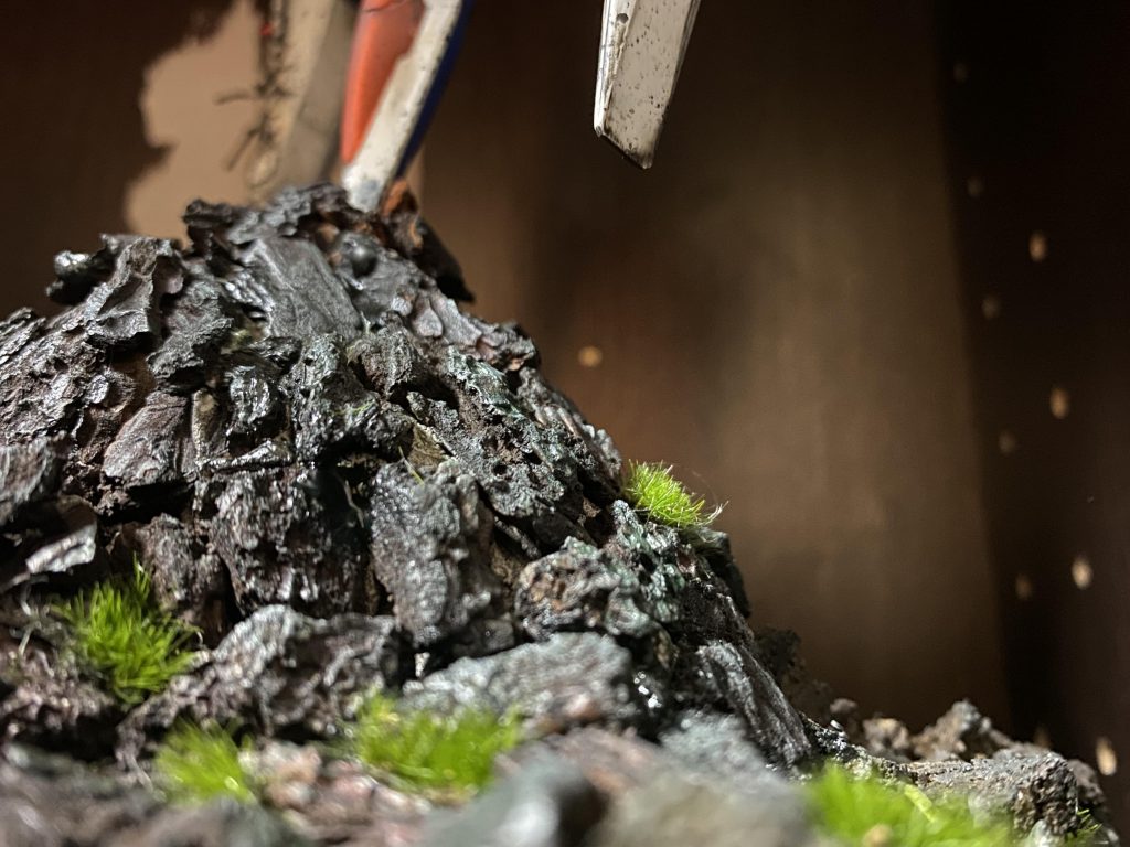 今回はジオラマで草生やしてみました。