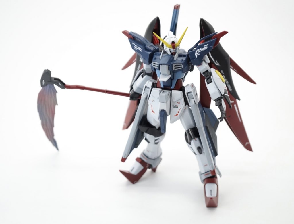 羽を広げなくても見た目良いのが良いところ。