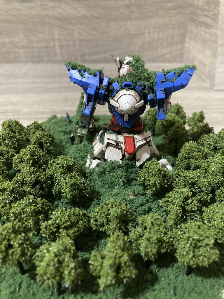 【背面】堂々とした大きな背中が魅力的です。