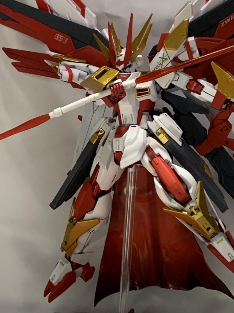 フリーダムっぽいポーズですw