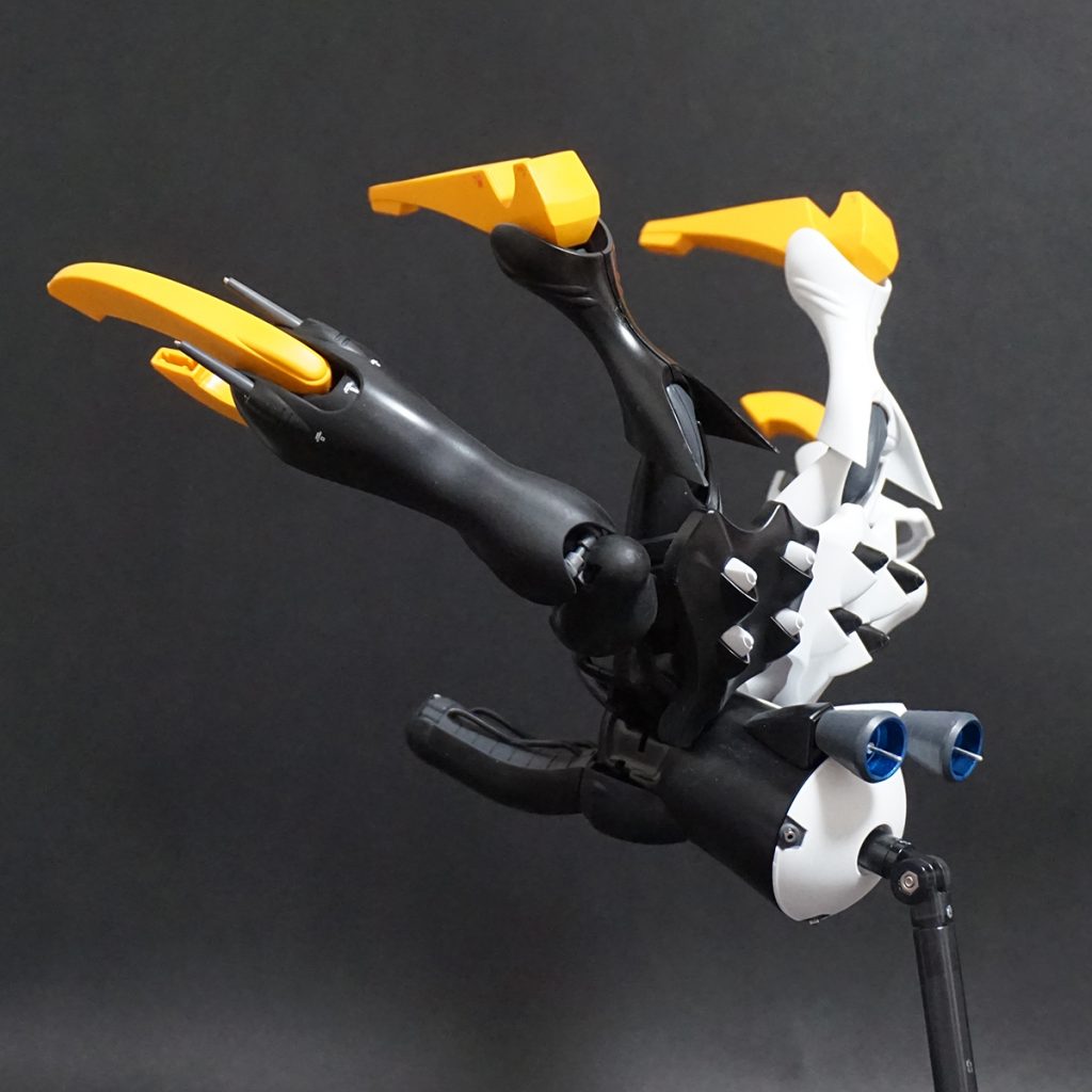 バックショットです。