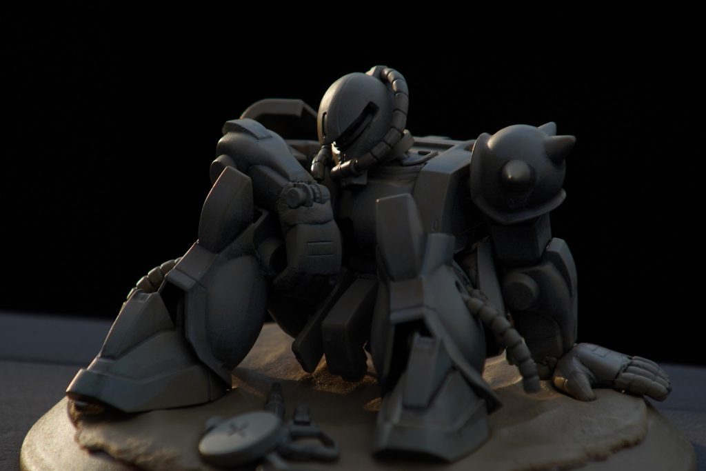 夕陽下で撮影．