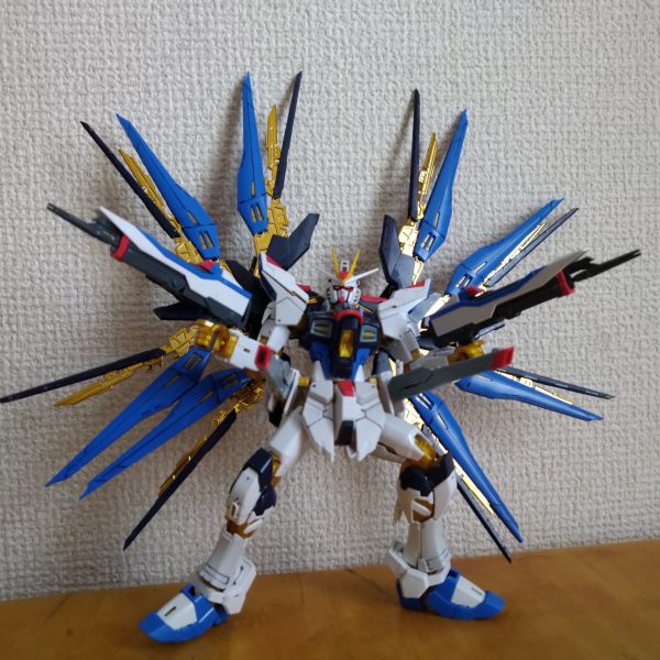 ストライクフリーダムガンダム！！